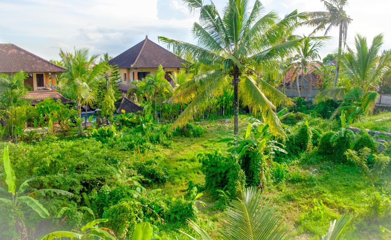 أوبود Semujan Bungalow المظهر الخارجي الصورة